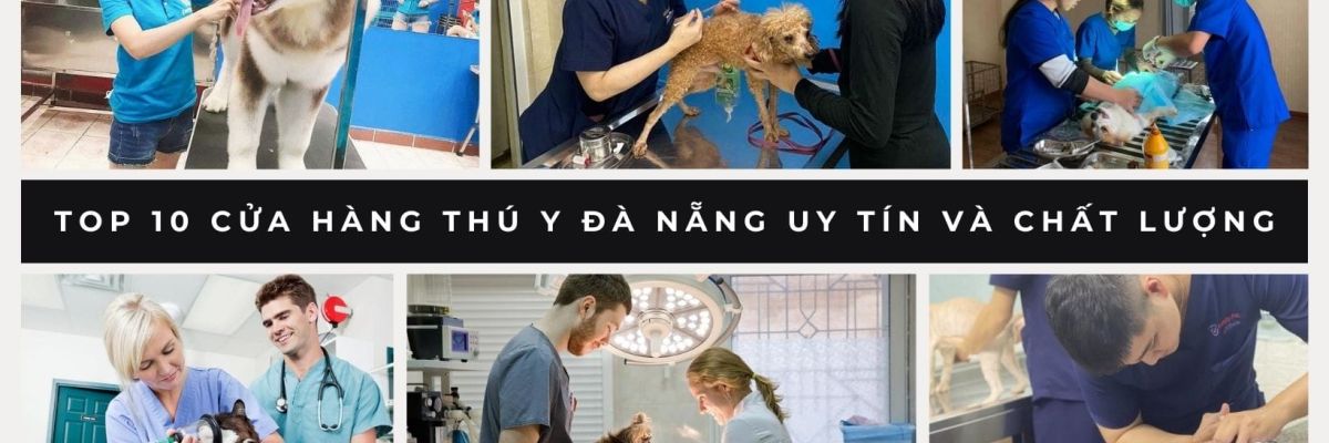 cua hang thu y da nang 1afa86a3