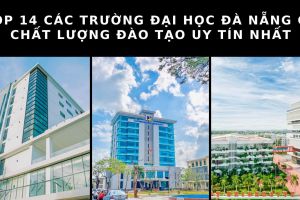 cac truong dai hoc da nang 1 1c84e4c3