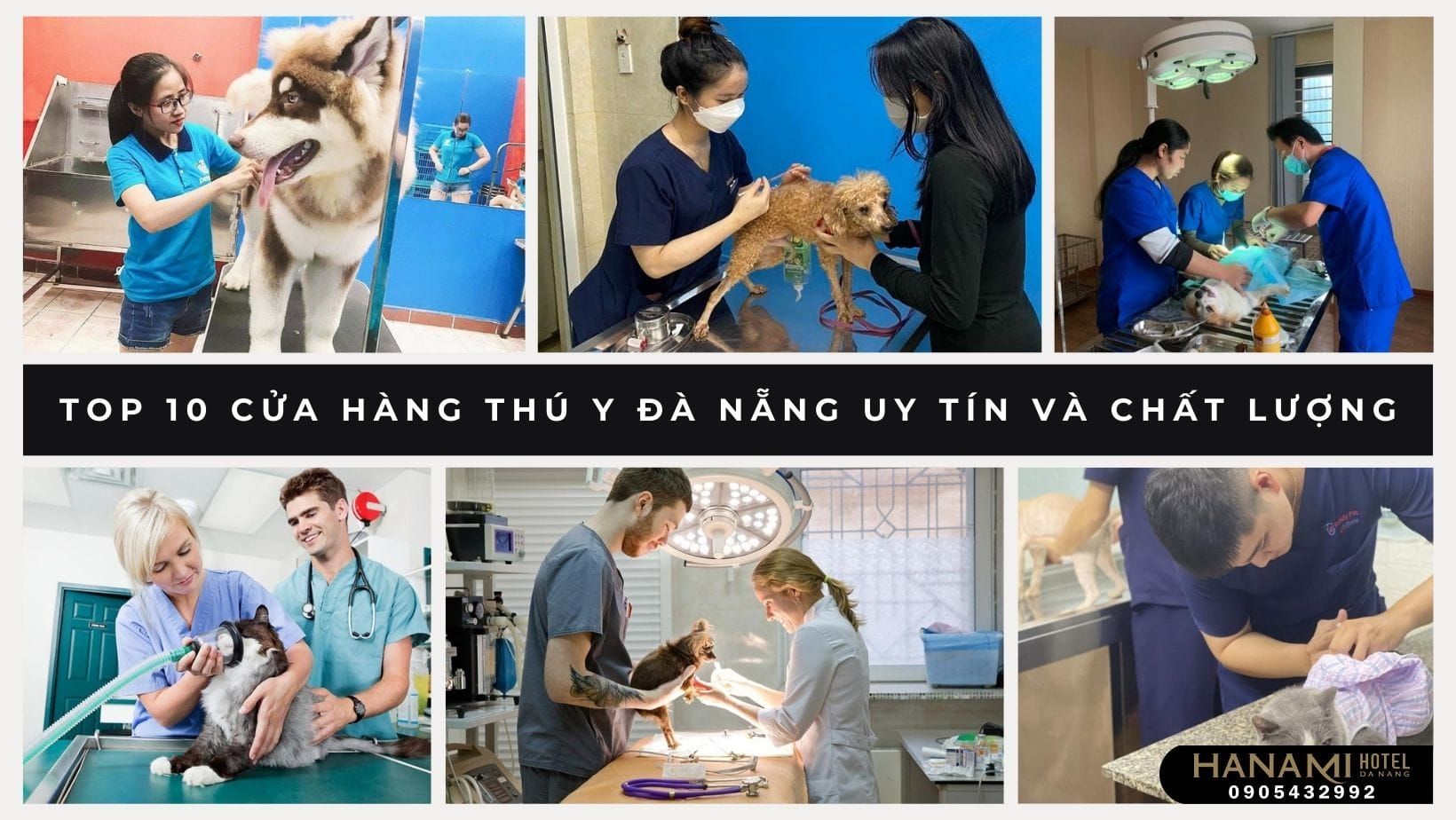 cửa hàng thú y Đà Nẵng