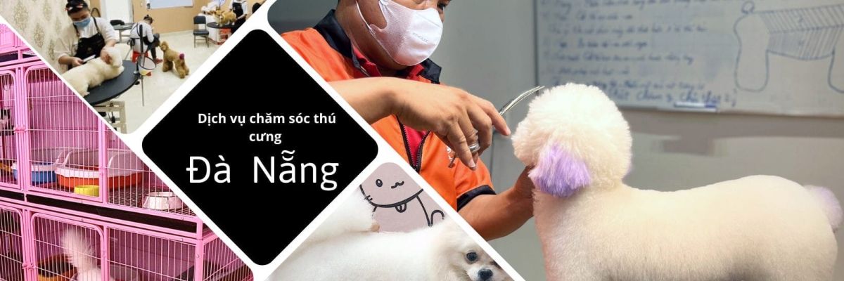 dich vu cham soc thu cung tai da nang 12 399264a4