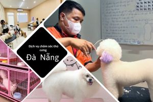 dich vu cham soc thu cung tai da nang 12 43b3913e