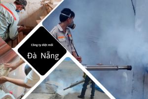 diet con trung da nang 12 444f5da0