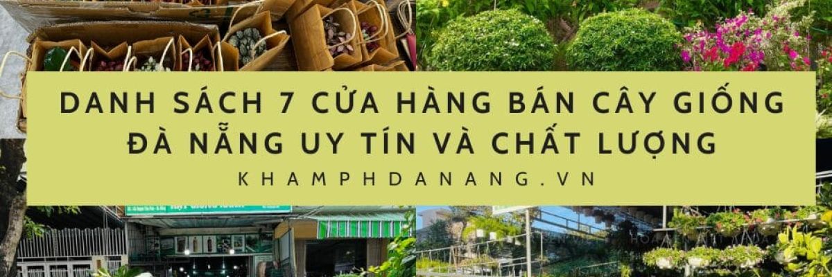 Xanh la Anh Ban be Anh ghep Ngoai troi Bai dang Facebook 6 4e7df68c