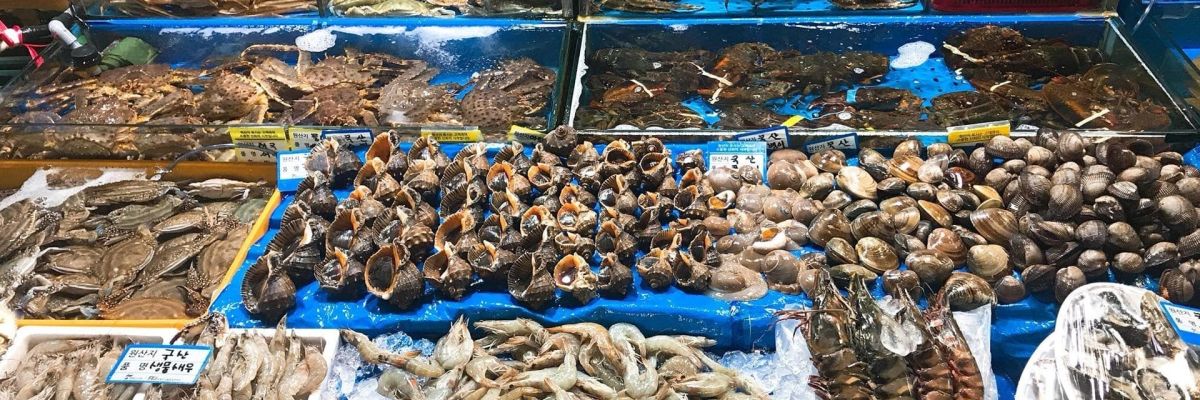 cho hai san da nang 8 737c7feb