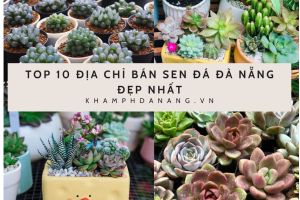 Xanh la Anh Ban be Anh ghep Ngoai troi Bai dang Facebook 1 4 75e343a3