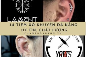 anh dai dien xo khuyen da nang 75b6d027