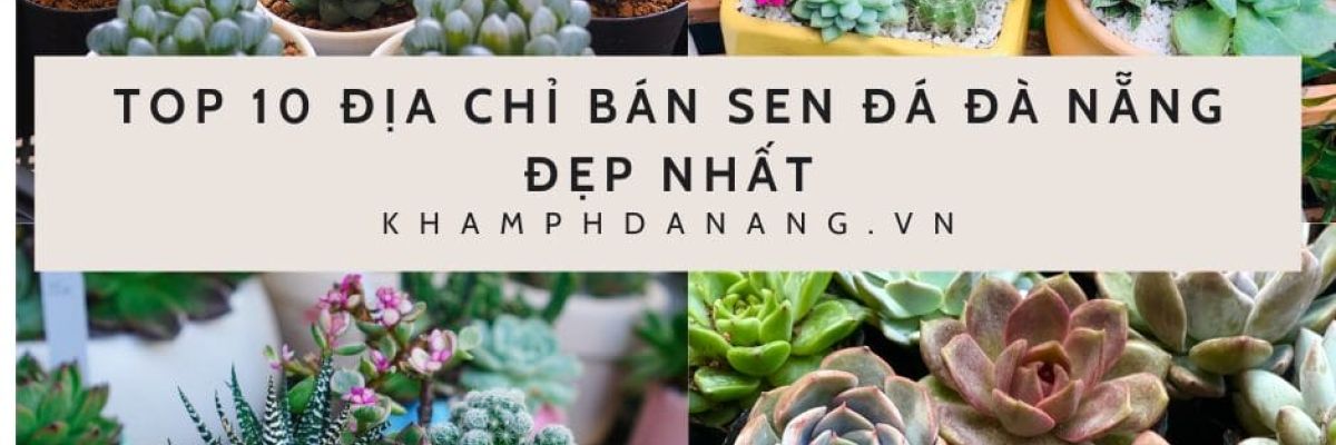 Xanh la Anh Ban be Anh ghep Ngoai troi Bai dang Facebook 1 4 7ca96c30
