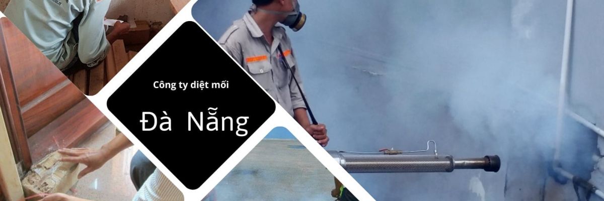 diet con trung da nang 12 863c25c6