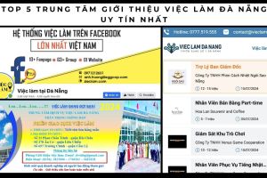 trung tam gioi thieu viec lam da nang 87974333