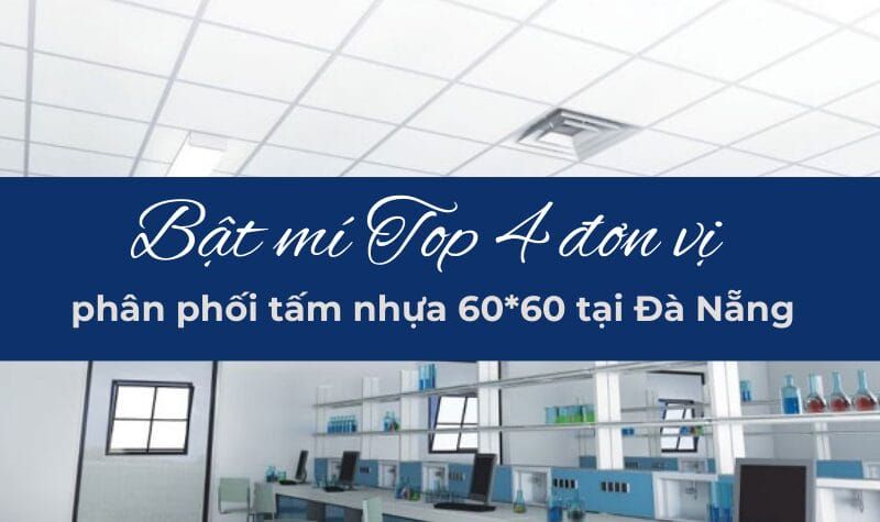 phân phối tấm nhựa 60*60