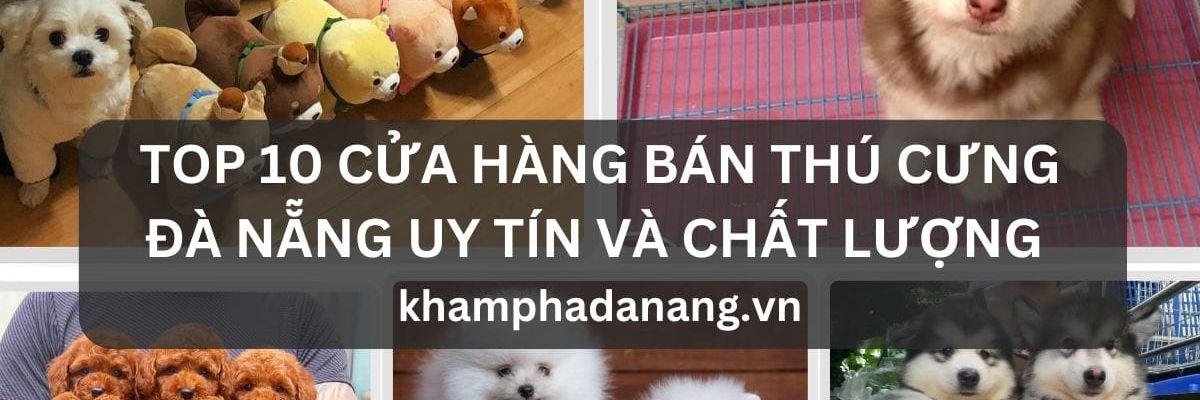 TOP 10 CUA HANG BAN THU CUNG DA NANG UY TIN VA CHAT LUONG 91603cb4