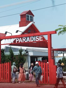 amy paradise 1 e1742204514489 98ce44bd