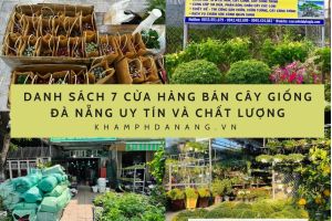 Xanh la Anh Ban be Anh ghep Ngoai troi Bai dang Facebook 6 9ead3186