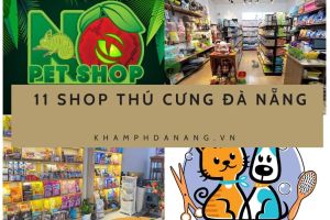 shop thu cung da nang bb46d209