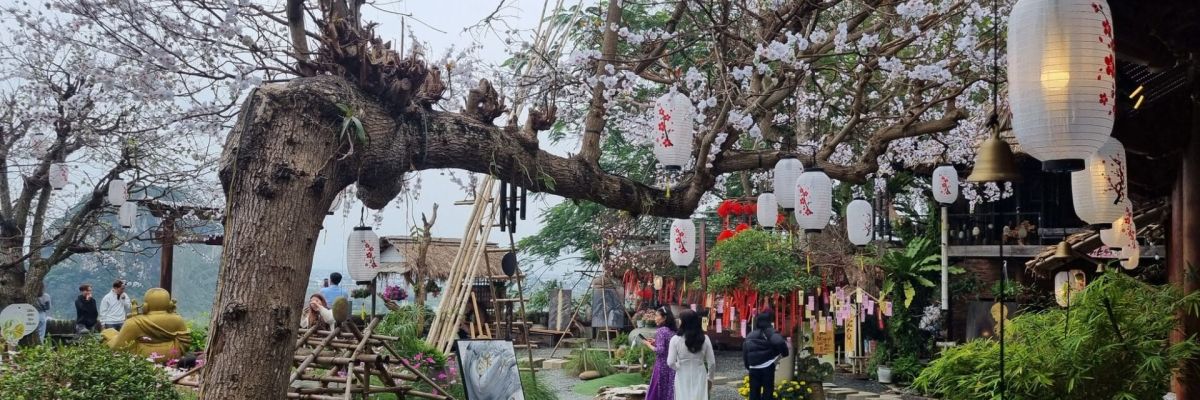 chua tu tam da nang 5 bc41af47