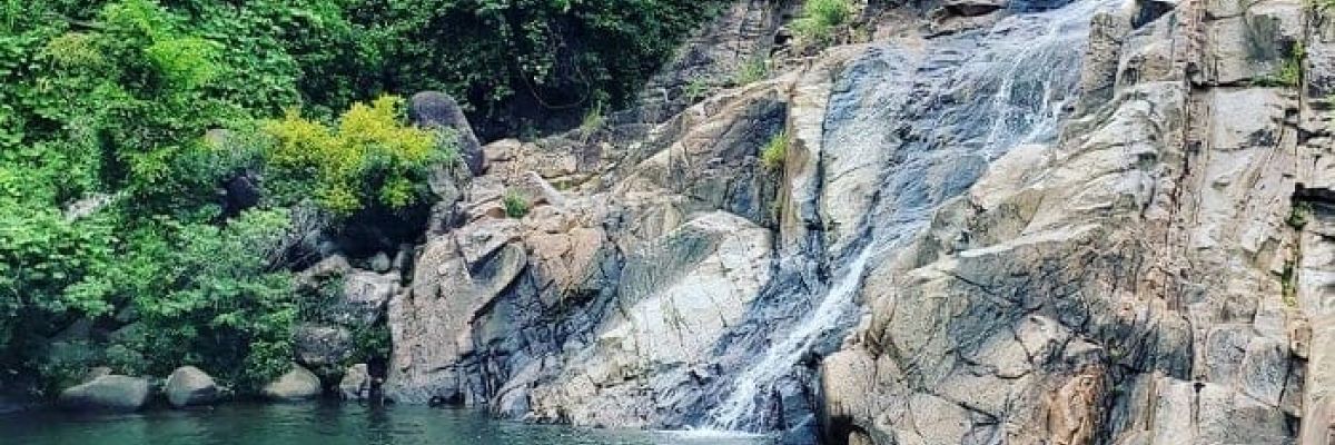 khu du lich suoi mo da nang bdd2fcb5