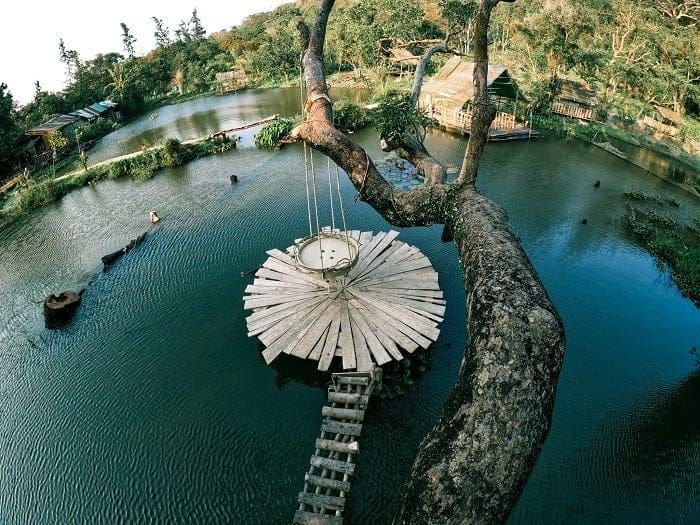 nhất lâm thủy trang trà