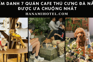 thucung canva d0d9bba4