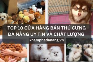 TOP 10 CUA HANG BAN THU CUNG DA NANG UY TIN VA CHAT LUONG d1bea8aa