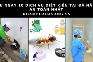 dich vu diet kien tai da nang d78c41b3