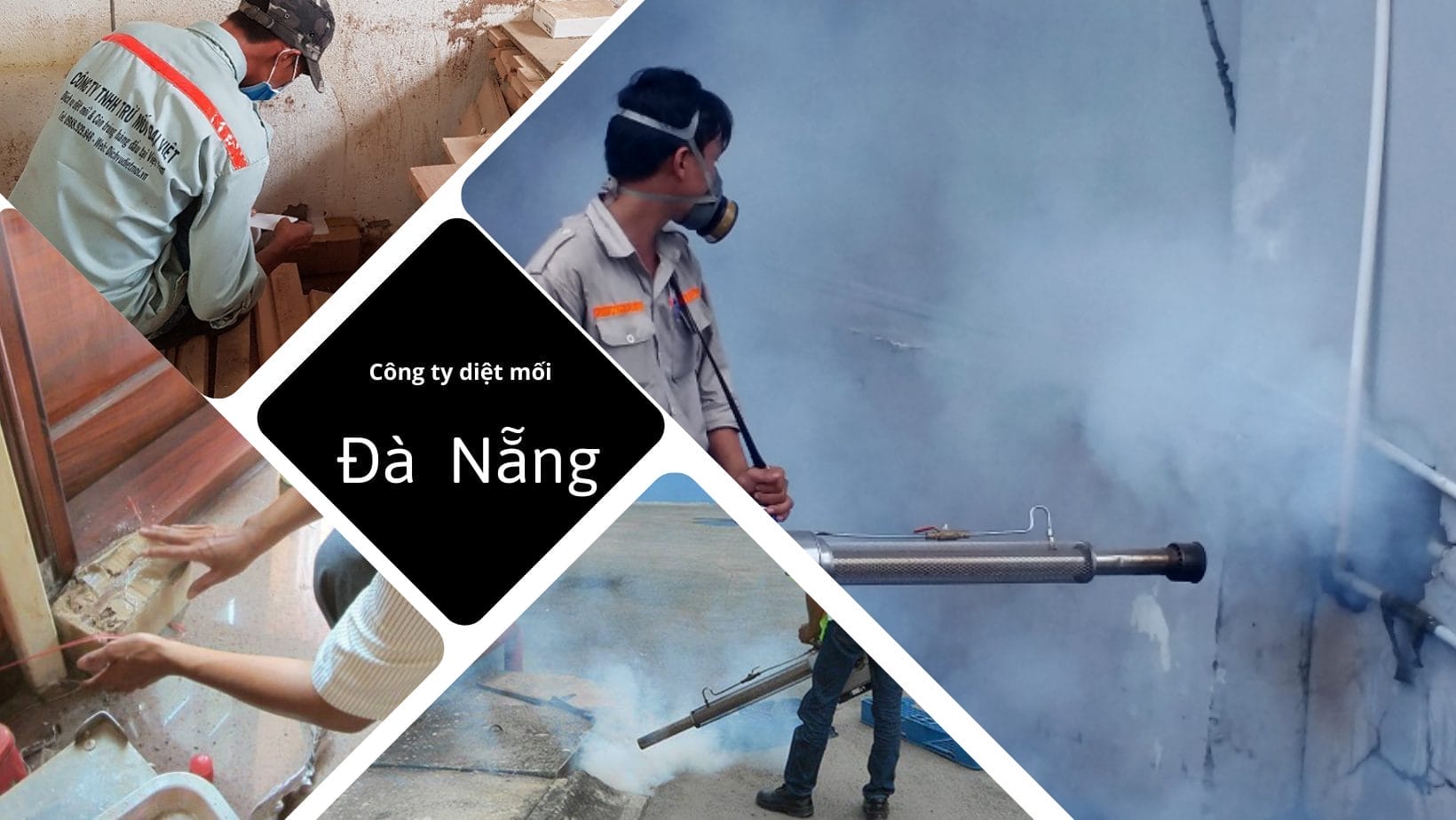 diệt mối tại Đà Nẵng