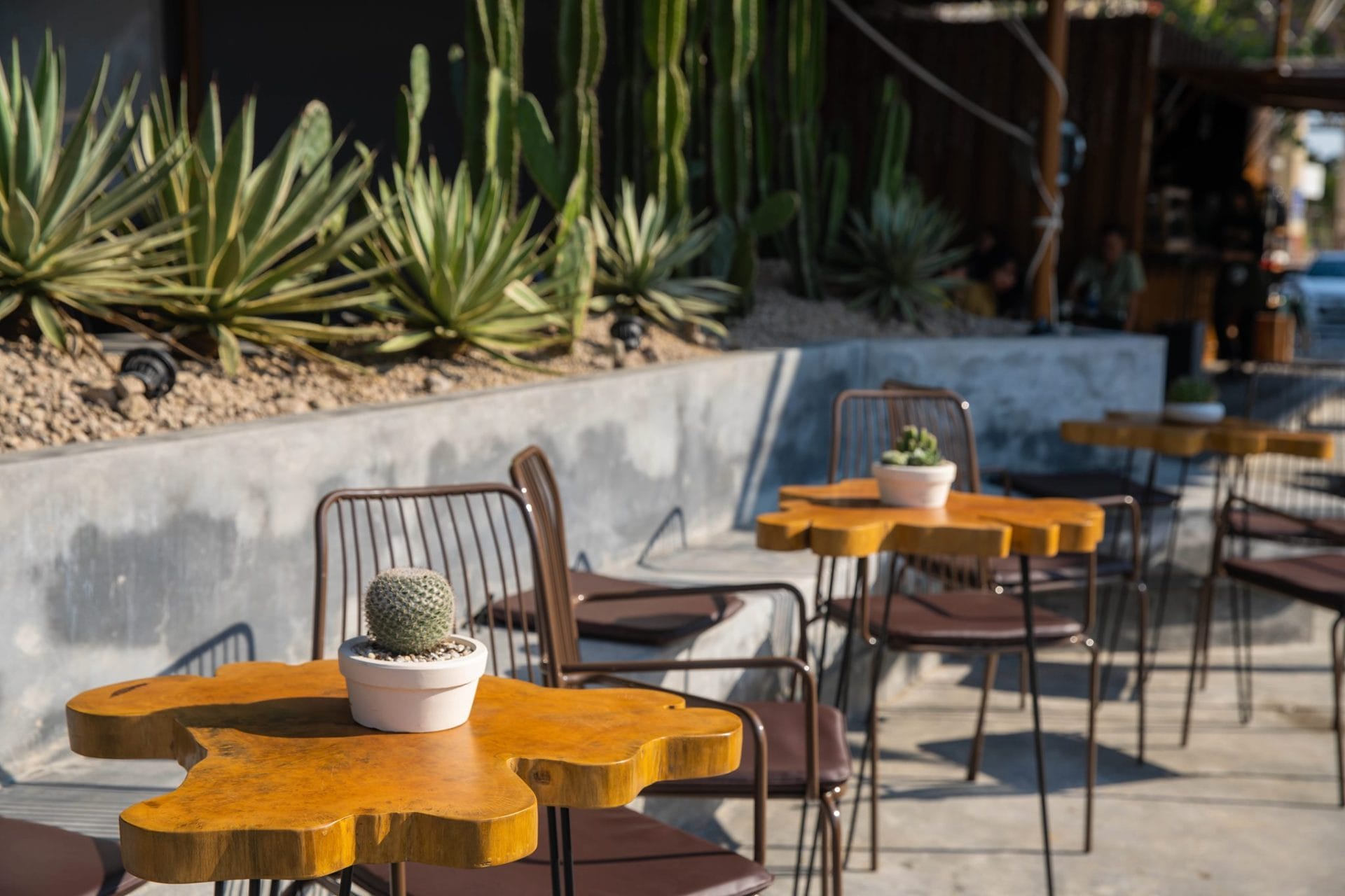 Review quán Coxi Garden Cafe Đà Nẵng