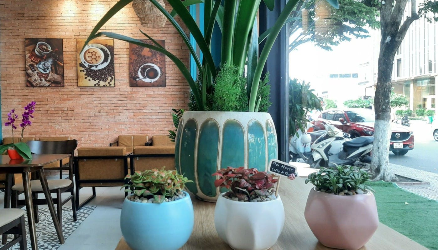 Review quán Coxi Garden Cafe Đà Nẵng