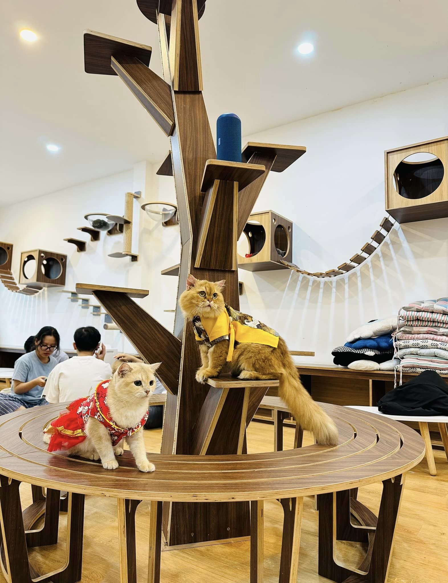 quán cafe thú cưng Đà Nẵng