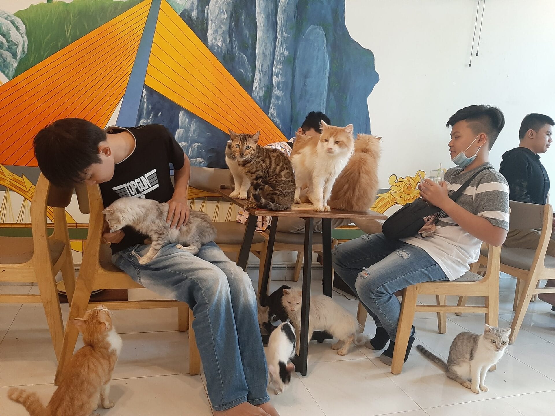 quán cafe thú cưng Đà Nẵng