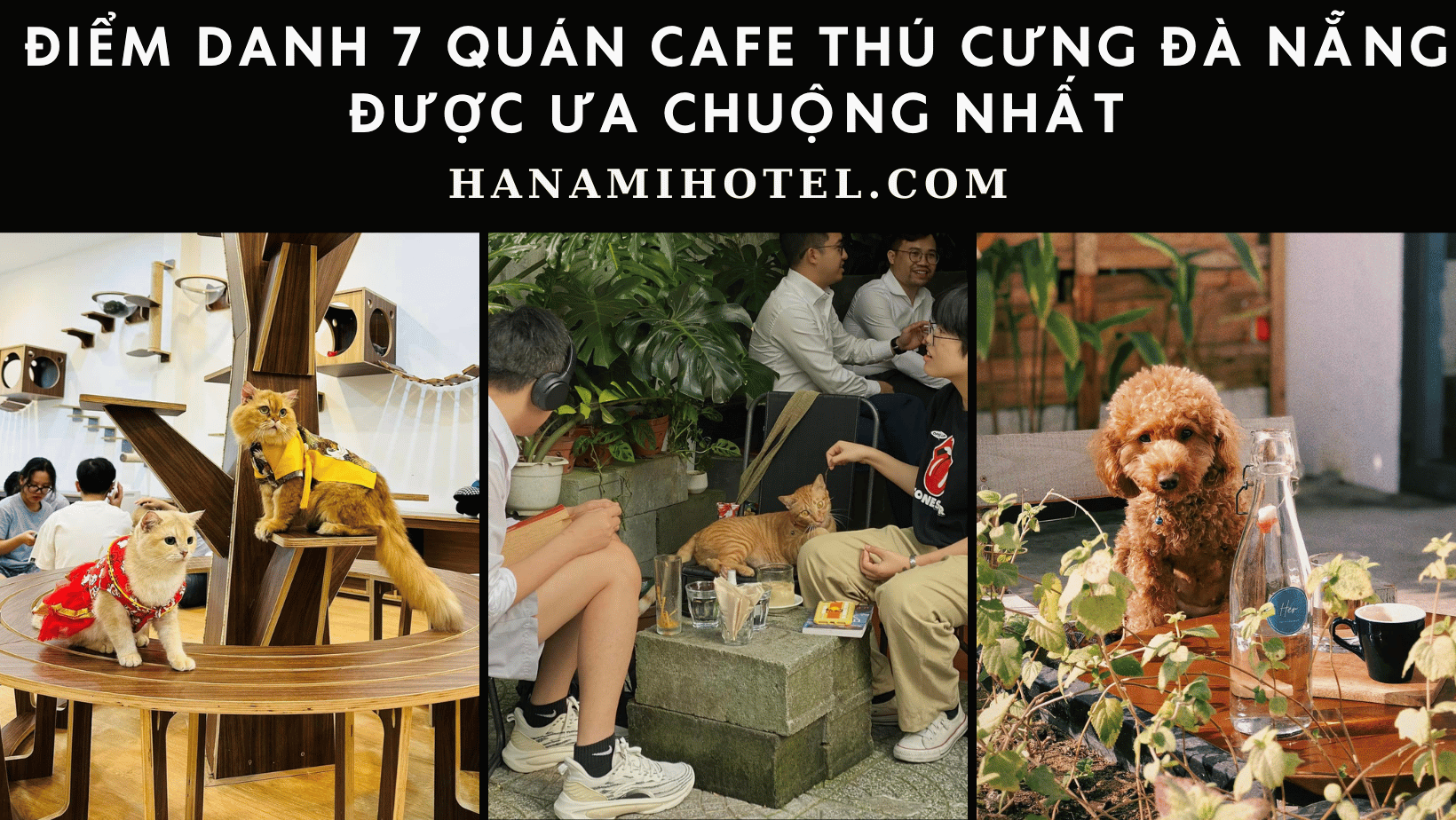 quán cafe thú cưng Đà Nẵng