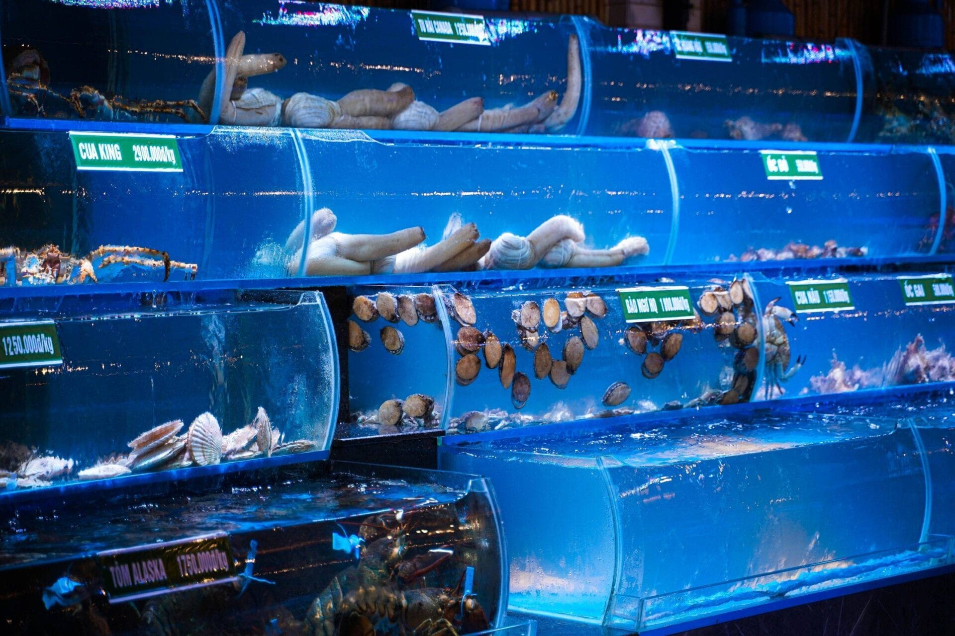 Ot Xanh Ocean Restaurant 3