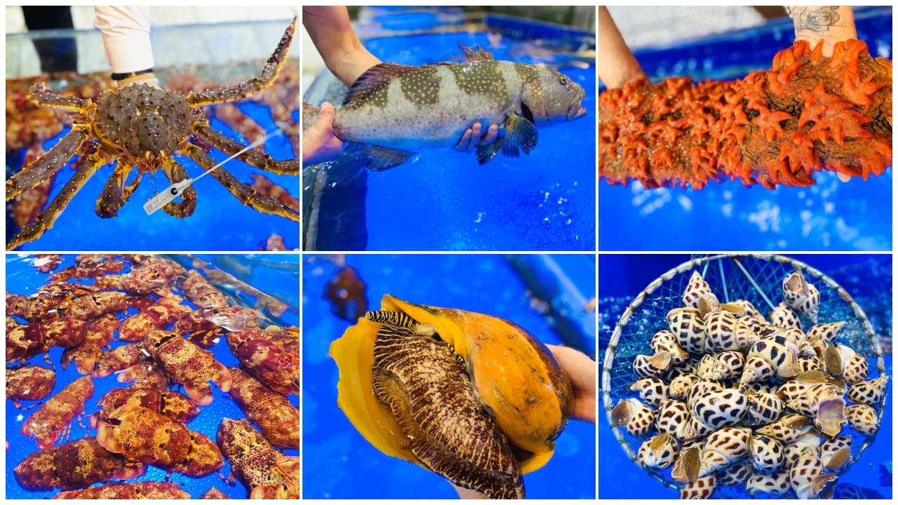 nhà hàng 4U Biển