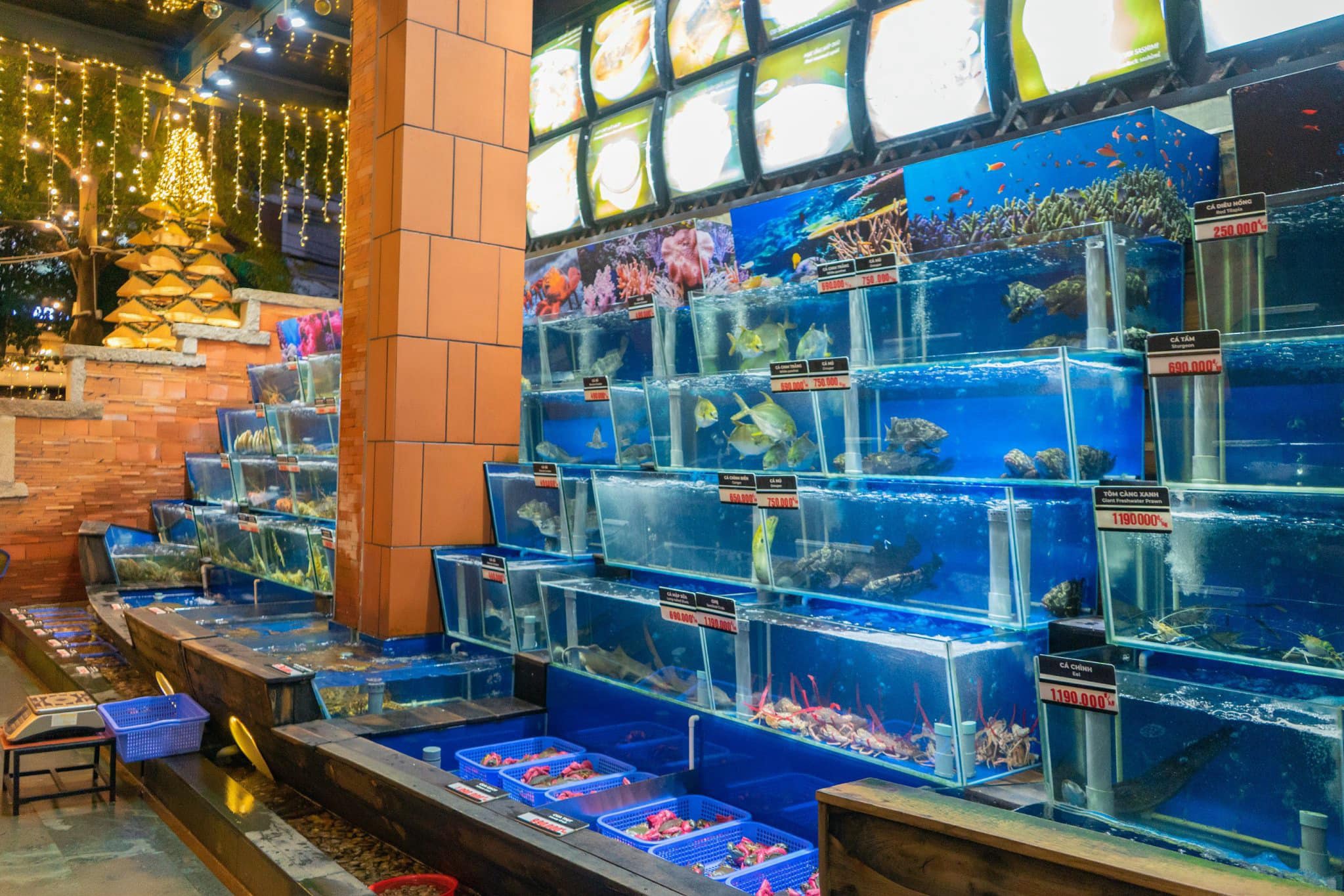 Brilliant Seafood Restaurant 8