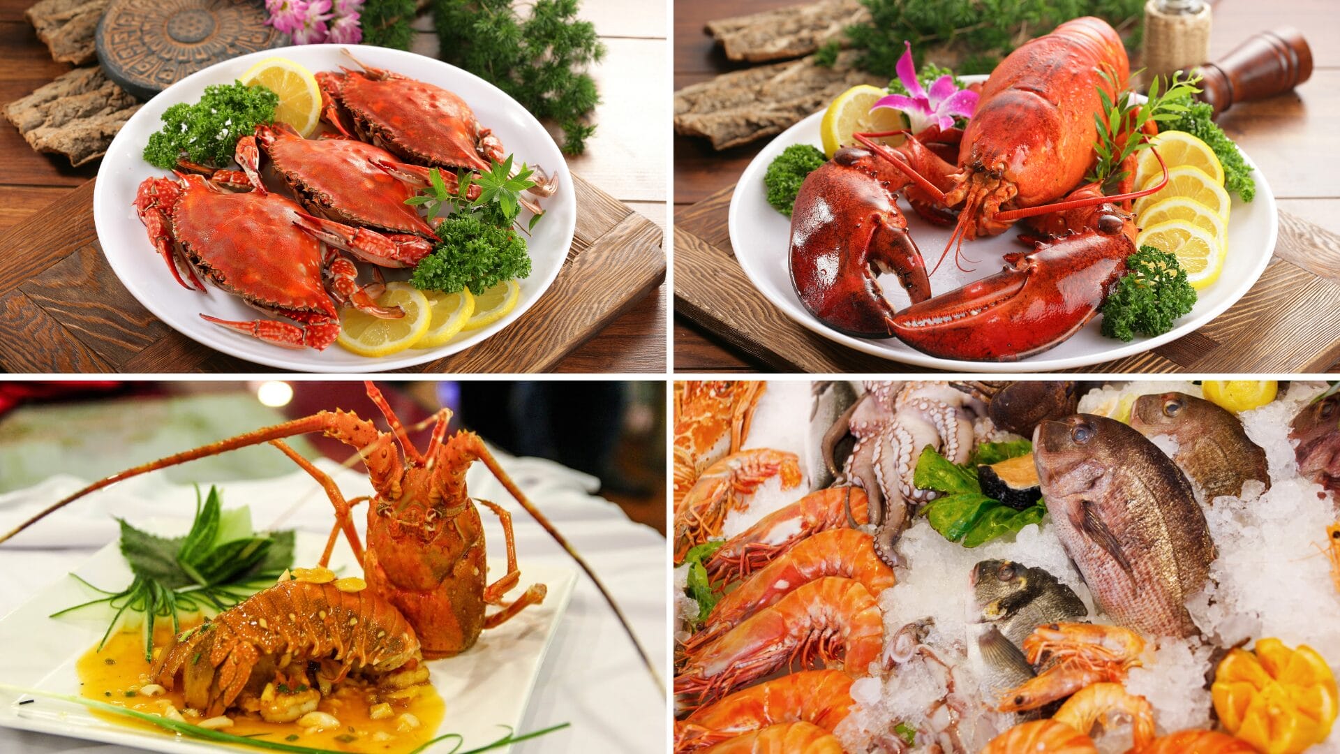 Hải sản Gành Bàng