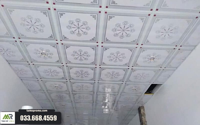 PHÂN PHỐI TẤM NHỰA 60*60